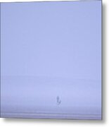 Walking The Dog In The Mist Metal Print