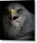 War Cry Metal Print