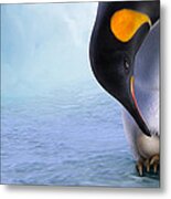 Warm And Protected Metal Print