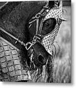Warrior Horse Metal Print