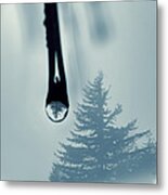 Water Drop With Tree Reflection Metal Print