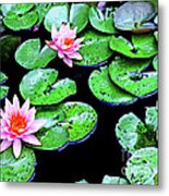 Water Lillies -- Inspired By Monet-1 Metal Print