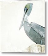 Watercolor Pelican Metal Print