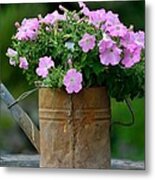 Watering Can And Flowers Metal Print