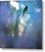 Weather To Fly Metal Print