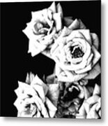 Weeping Roses Metal Print