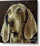 Weimaraner Dog Metal Print