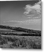 Welsh Countryside In Mono Metal Print