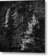 West Fork Rock Face Number Three Black And White Metal Print