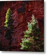 West Fork Rock Face Number Three Metal Print