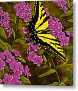 Western Tiger Swallowtail And Evening Phlox Metal Print