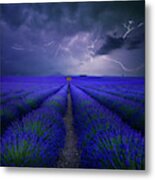 Wetter Im Lavendelfeld Metal Poster