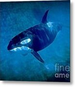 Whale Metal Print