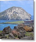 Whale Rock Formation Metal Print