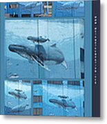 Whaling Wall 42 -  East Coast Humpbacks - Original Painting By Wyland Metal Print
