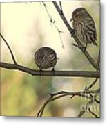Whats Down There Metal Print