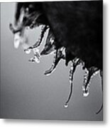 When The Light Goes Out Metal Print