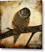 Whispered In The Sounds Of Silence Metal Print