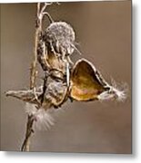 Whispers In The Wind Metal Print