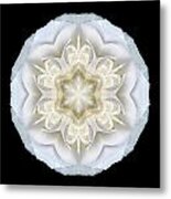 White Begonia Ii Flower Mandala Metal Print