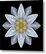 White Clematis Flower Mandala Metal Print