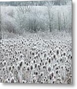 White Fur Metal Print