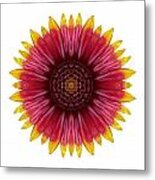 Galliardia Arizona Sun I Flower Mandala White Metal Print