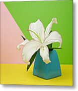 White Lily Flower In Blue Vase Metal Print