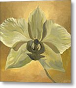 White Orchid With Ochre Metal Print