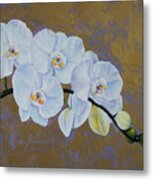 White Orchids Metal Print