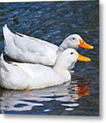 White Pekin Ducks #2 Metal Print