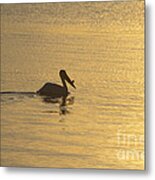 White Pelican On Golden Lake Metal Print