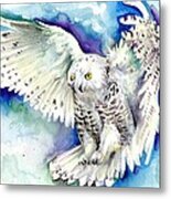 White Polar Owl Canvas Print Metal Print