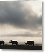 White Rhinoceros Trio At Sunset Kenya Metal Print