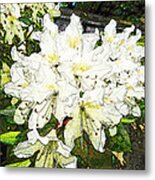 White Rhodo Chalk Metal Print