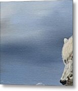 White Wolf2 Metal Print