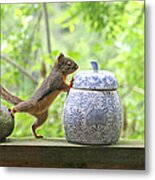 Who's Been In The Cookie Jar? Metal Print