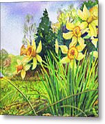 Wild Daffodils Metal Print