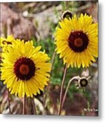 Wild Flowers Above The Rim Metal Print