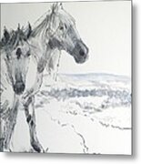 Wild Horses Drawing Metal Print