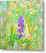 Wildflower Meadow - Spring In Central California Metal Print