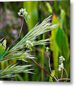 Wildflowers And Grasses Metal Print