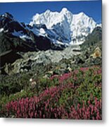 Wildflowers And Kangshung Glacier Metal Print