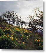 Wildflowers And Trees On Stormy Day Metal Print