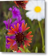 Wildflowers Of Texas Metal Print