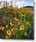 Wildflowers Metal Print