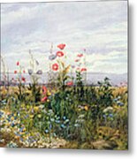 Wildflowers With A View Of Dublin Dunleary Metal Print