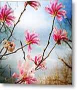 Wind In The Magnolia Tree Metal Print