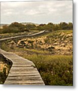 Winding Path Over The Marshes Metal Print