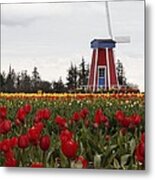 Windmill Red Tulips Metal Print